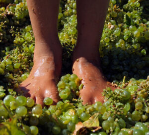 Raising a glass to England’s South East