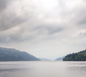 Happiness is a grisly murder